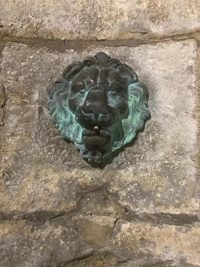 Le Clos Saint Michel Carcassonne Exterior photo